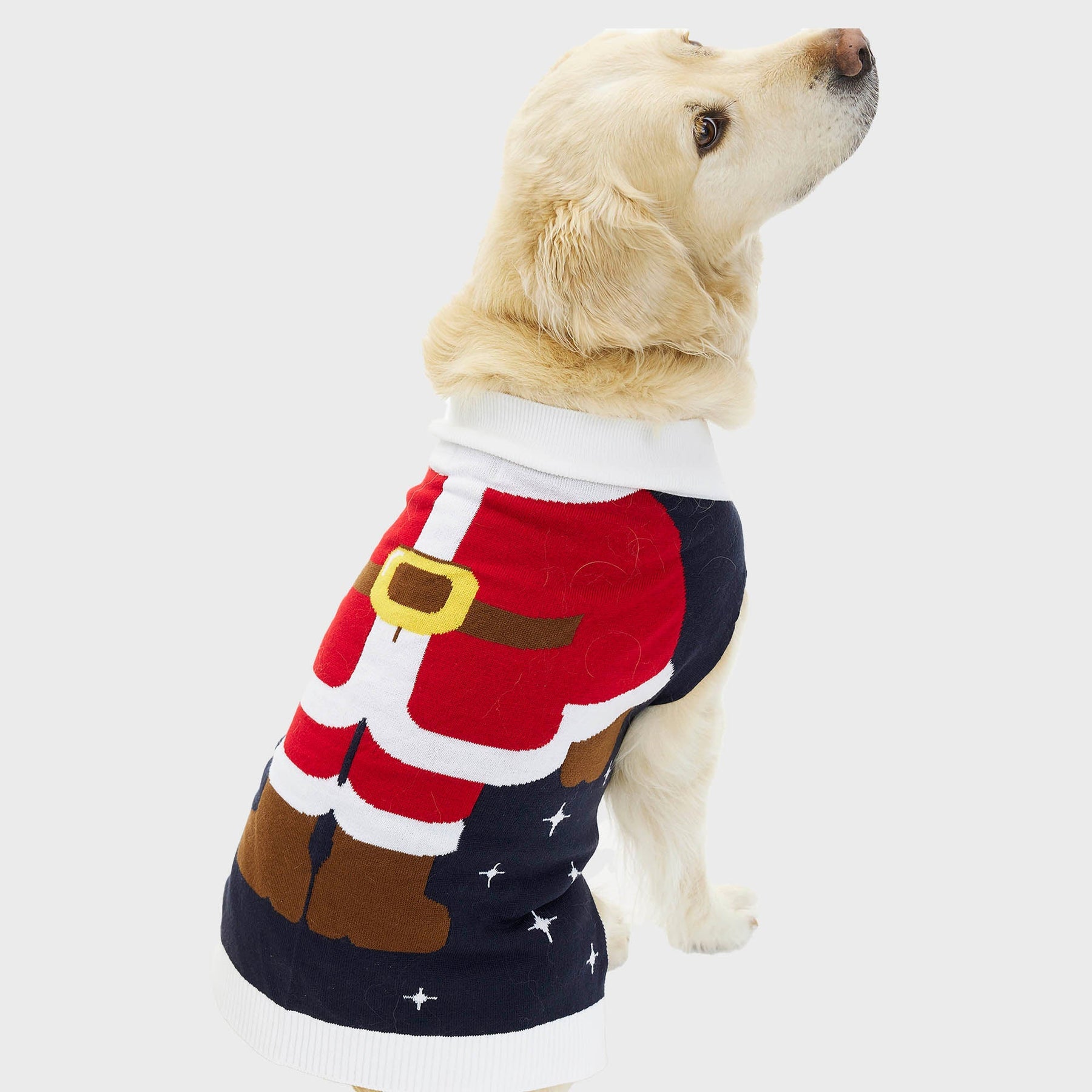 Santa’s Little Helper Christmas Sweater for Dogs