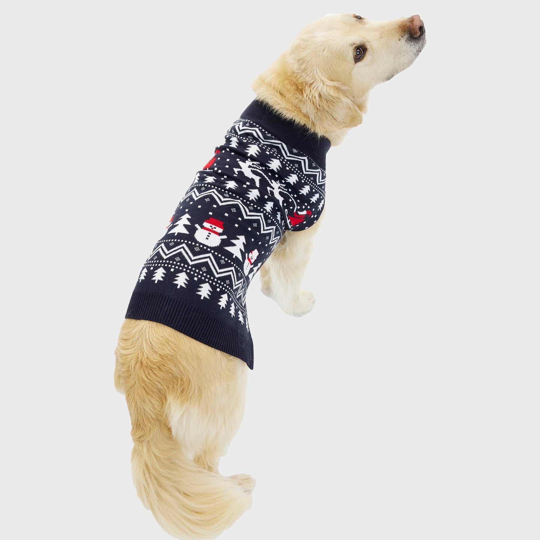 The Stylish Christmas Sweater for Dogs
