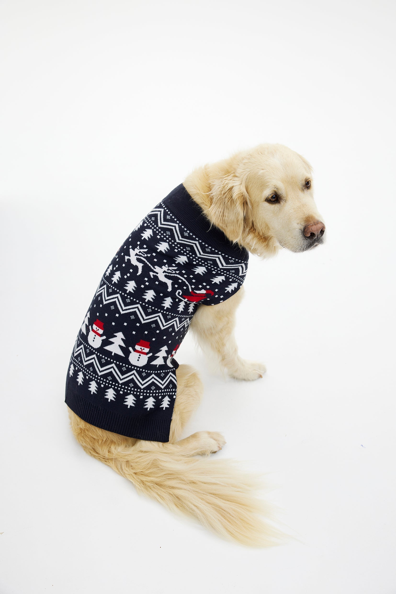 The Stylish Christmas Sweater for Dogs