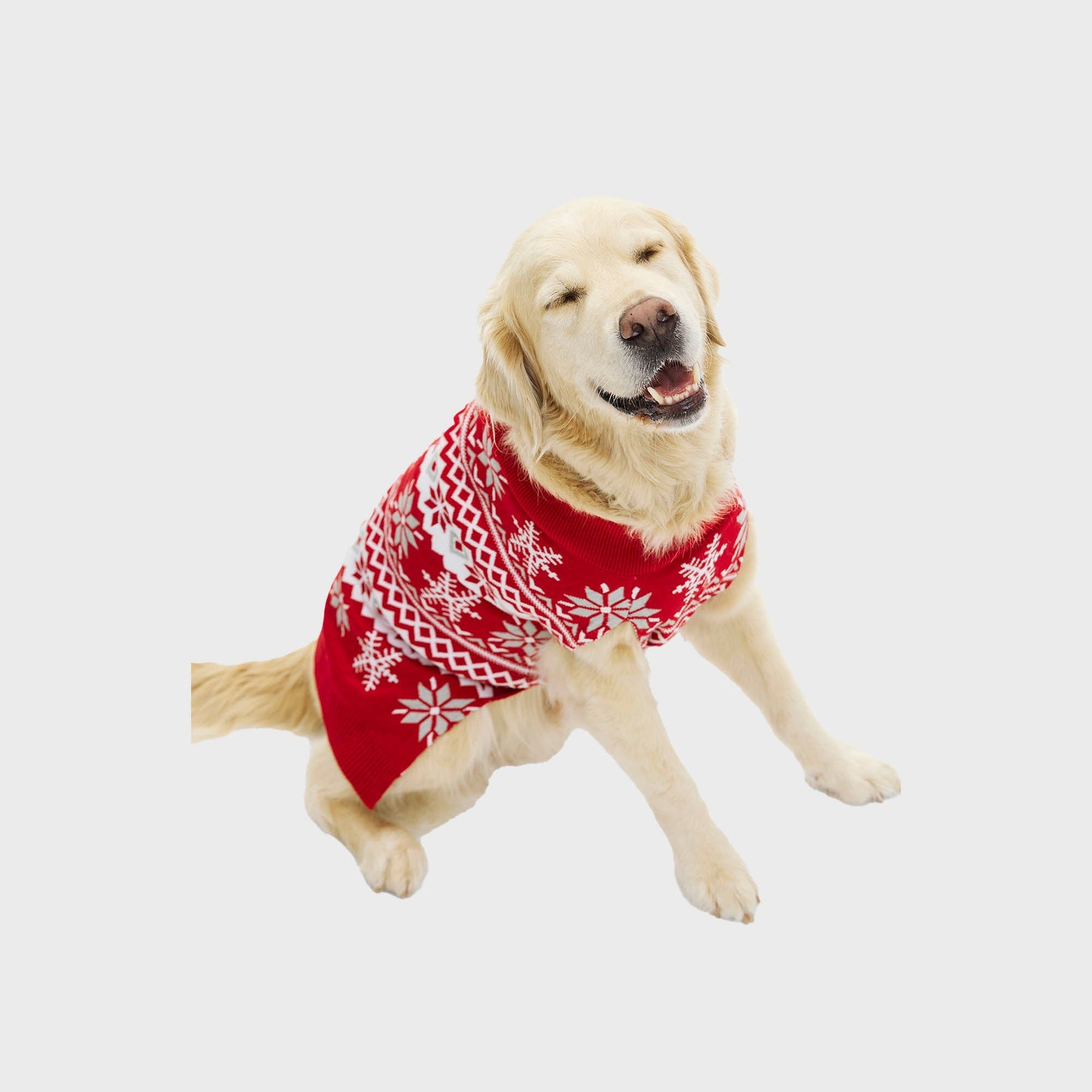 Cute Christmas Sweater for Dogs