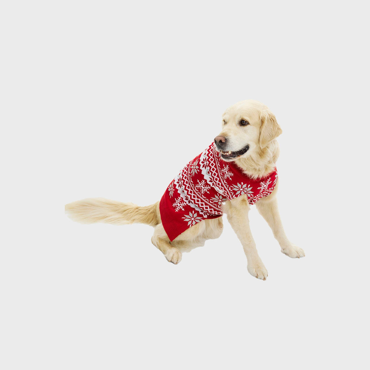 Cute Christmas Sweater for Dogs