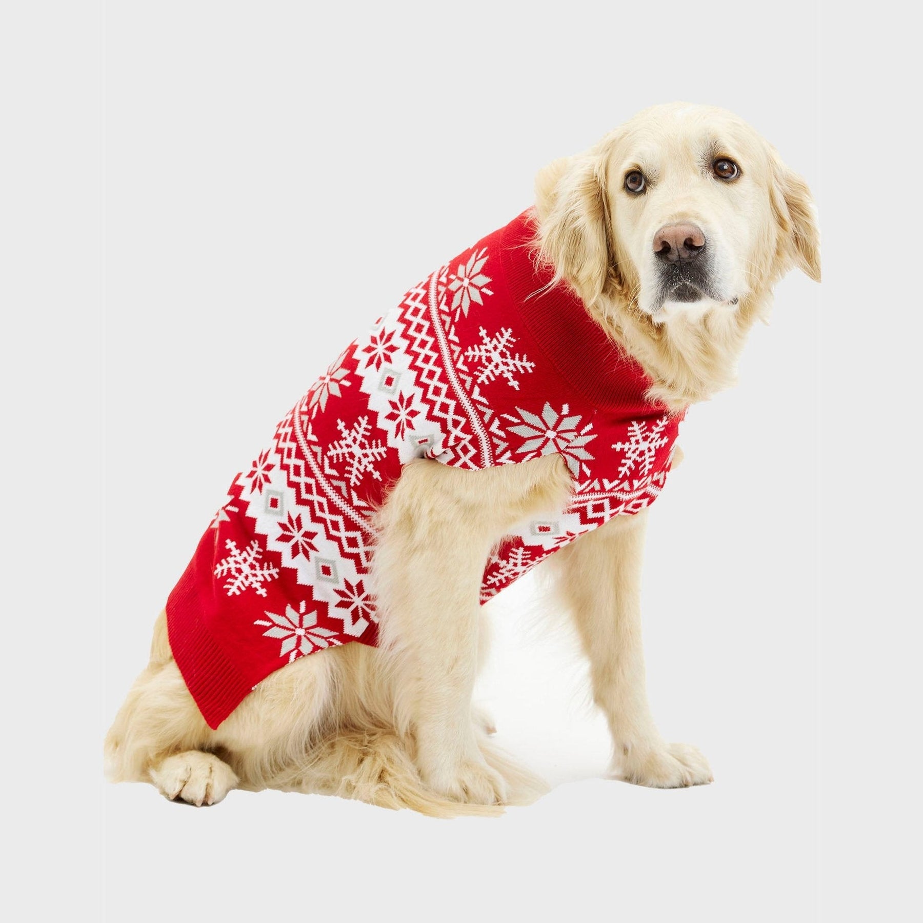 Cute Christmas Sweater for Dogs