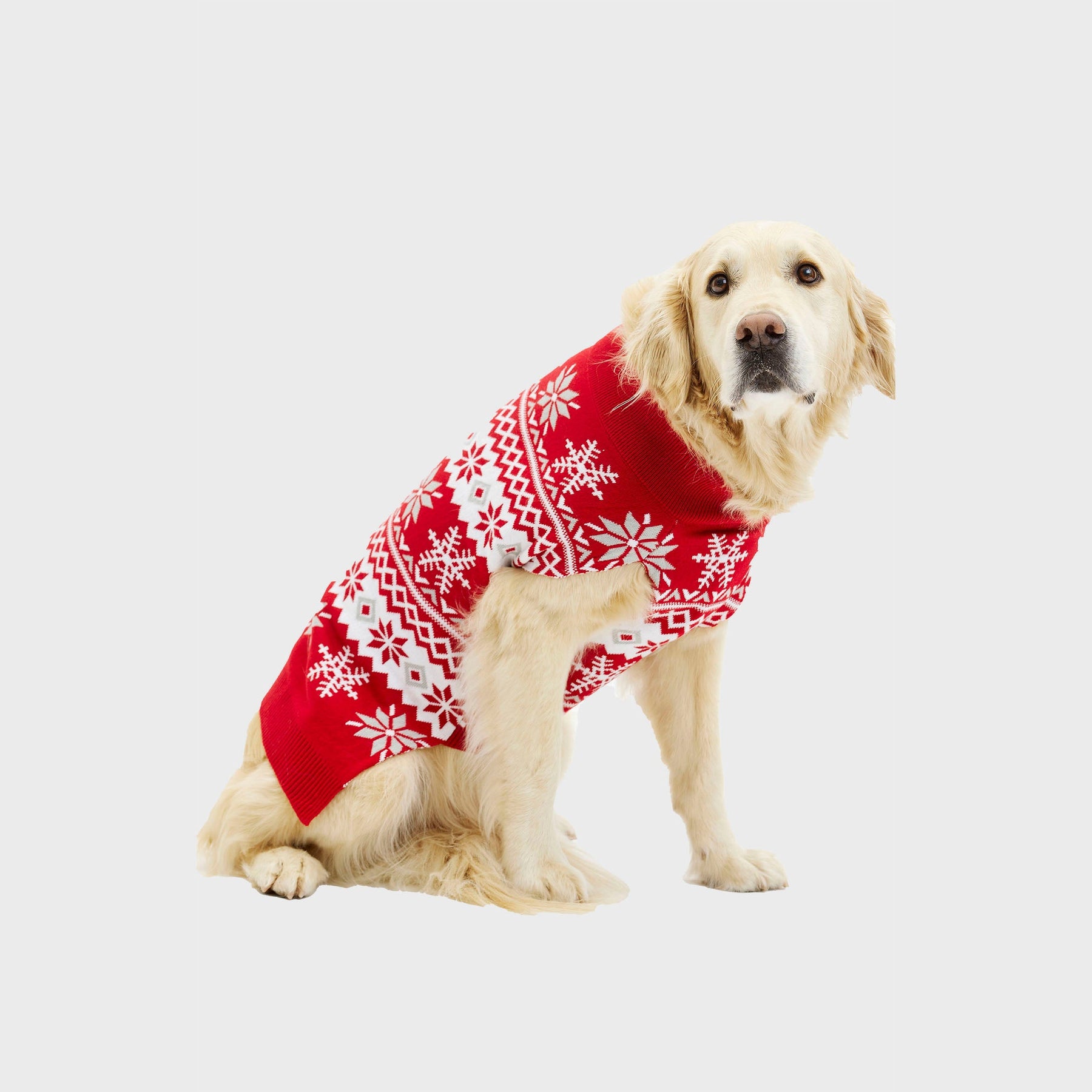 Cute Christmas Sweater for Dogs