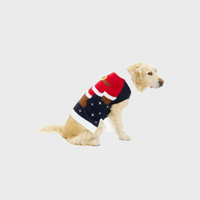 Santa’s Little Helper Christmas Sweater for Dogs
