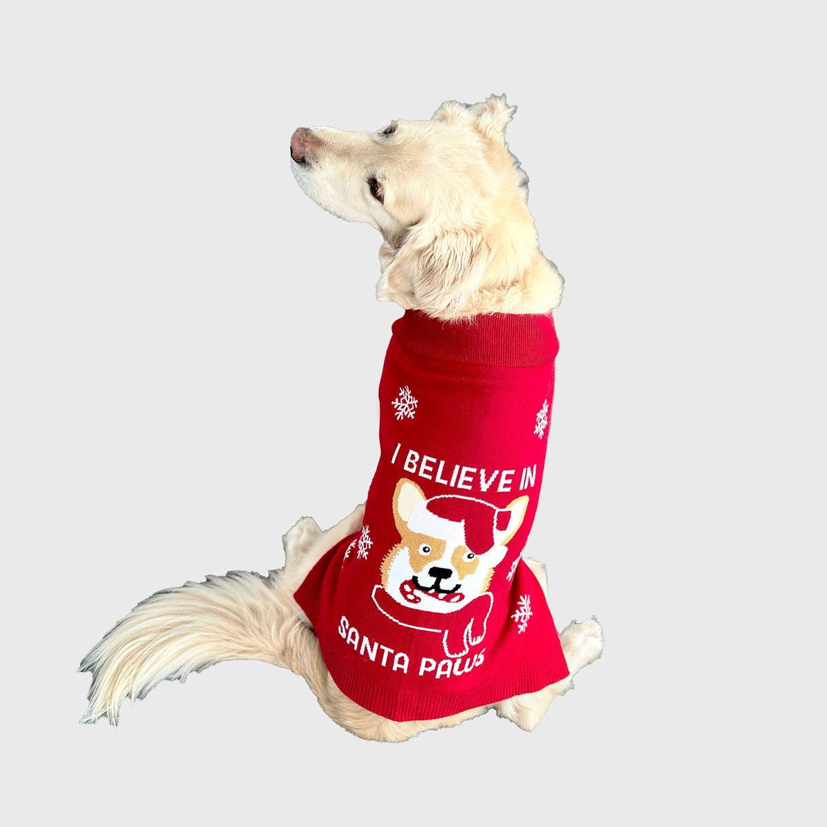 Santa Paws Christmas sweater til Hund