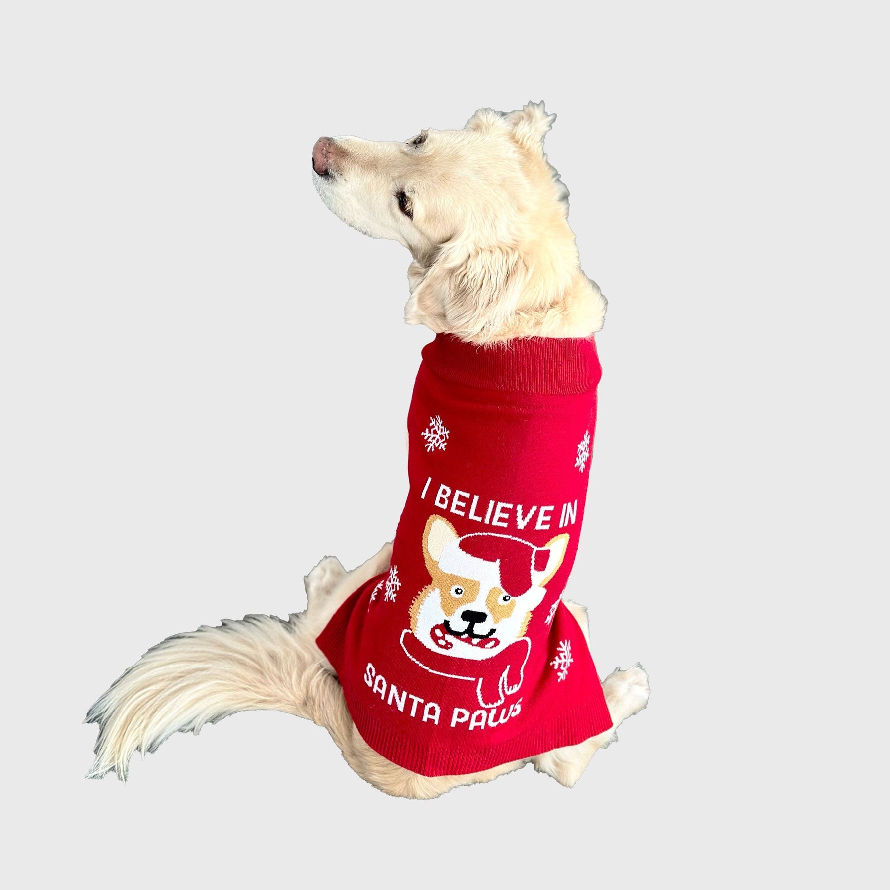 Santa Paws Christmas sweater til Hund