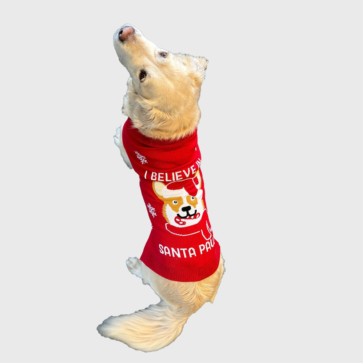 Santa Paws Christmas sweater til Hund