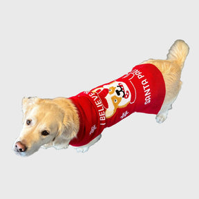Santa Paws Christmas sweater til Hund